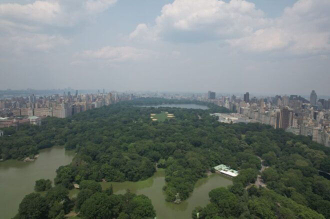 Official VIP Whole Central Park Horse Carriage Tour - Meeting Point and Seating Assistance