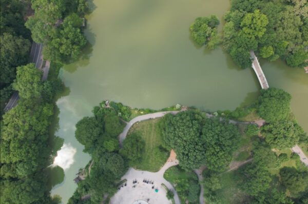 Official VIP Whole Central Park Horse Carriage Tour - Iconic Structures and Scenic Carriage Ride