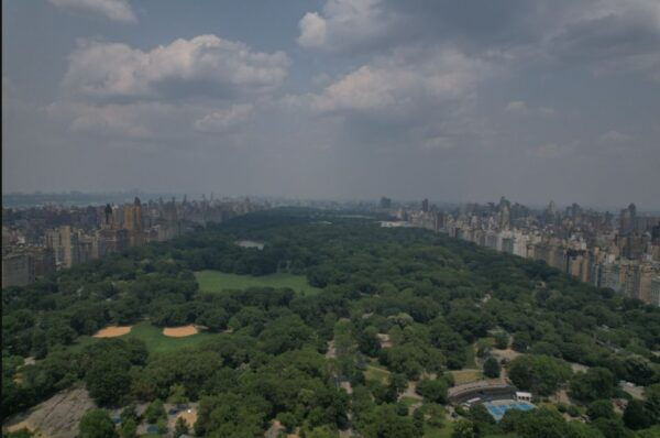 Official VIP Whole Central Park Horse Carriage Tour - Return and Additional Information