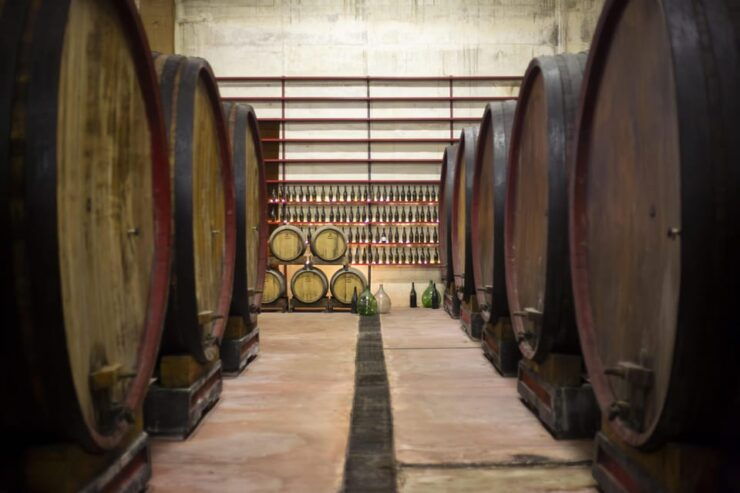 Offida: Tasting Itinerary of Rosso Piceno DOC Superiore - Itinerary Details