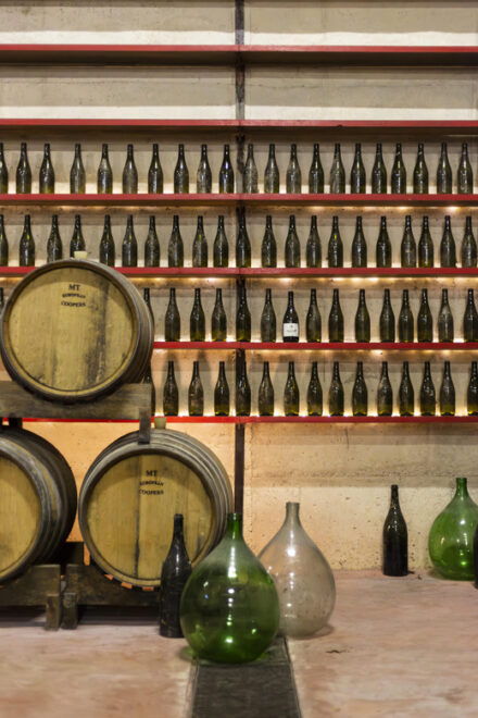 Offida: Tasting Itinerary of Rosso Piceno DOC Superiore - Wine Tasting Experience