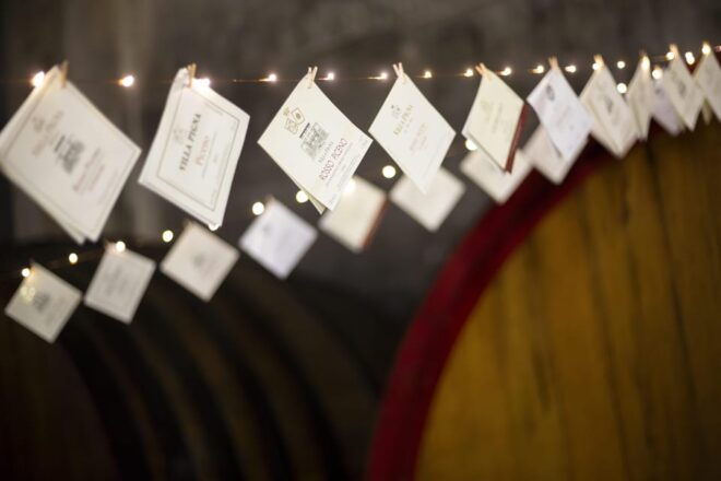 Offida: Tasting Itinerary of Rosso Piceno DOC Superiore - Tasting Inclusions