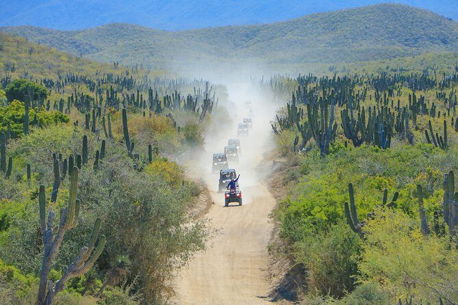 OffRoad 4X4 UTV Adventure with unlimited Lunch & Tequila - Good To Know