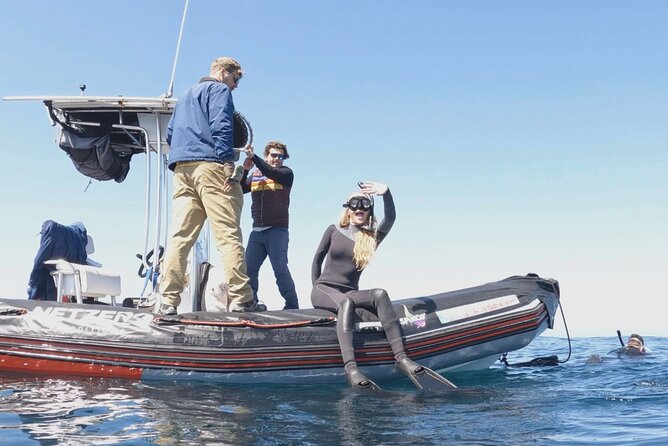 Offshore Snorkeling Adventure San Diego - Group Size Limit