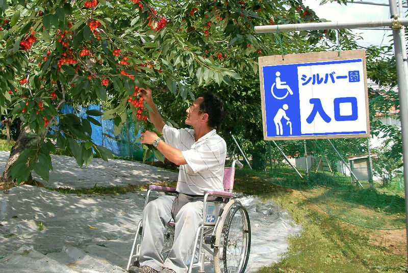 Ohashi Cherry Farm Admission + Fruit Picking in Furano Ashibetsu - Getting from Ashibetsu station to the orchard