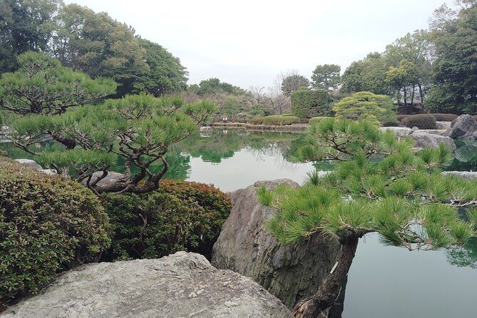 Ohori Park Walking Tour with Guide from Fukuoka - The Practicalities: What to Expect