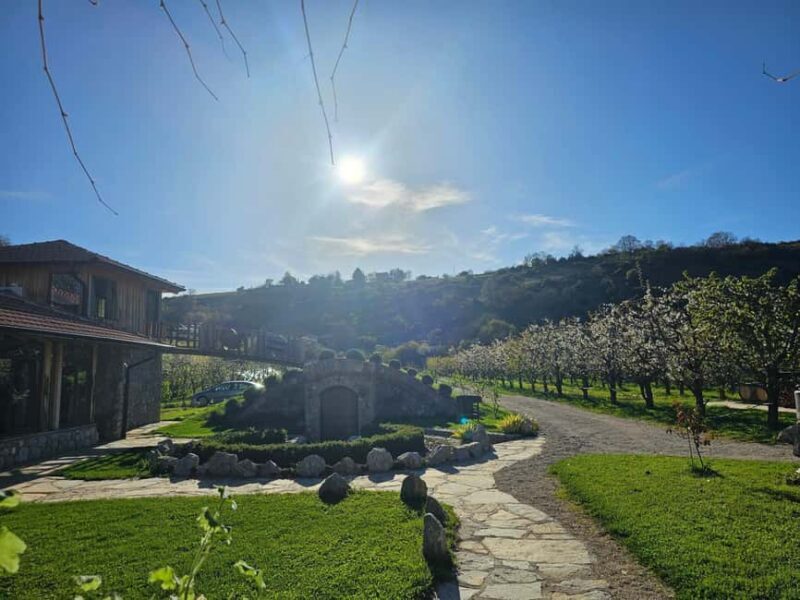 Ohrid: Distillery Balaklija Traditional Rakia Tasting - A Complete Guide to the Distillery Balaklija Experience