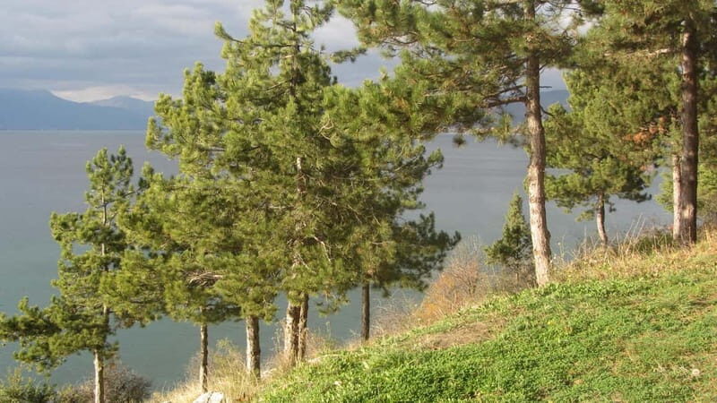 Ohrid: Old Town Bike Rental - Good To Know