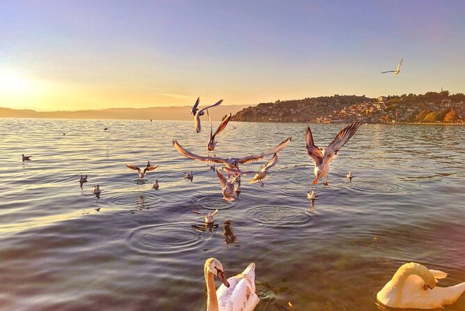Ohrid One Day Trip From Pristina - Start Time and Additional Info