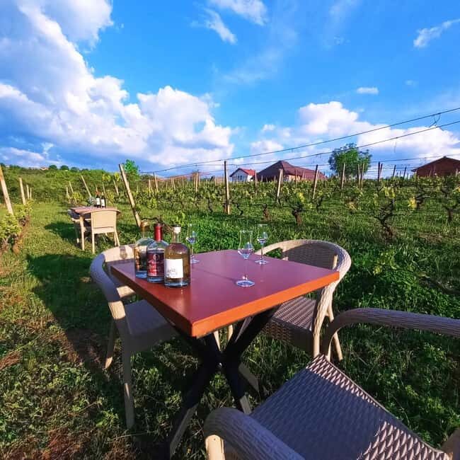 Ohrid: S&S Winery Tour and Wine Tasting Experience - FAQ