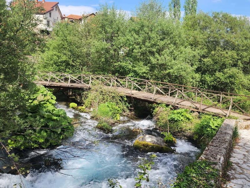 Ohrid & Traditional Village: Private Tour from Tirana/Durres - Analyzing the Value