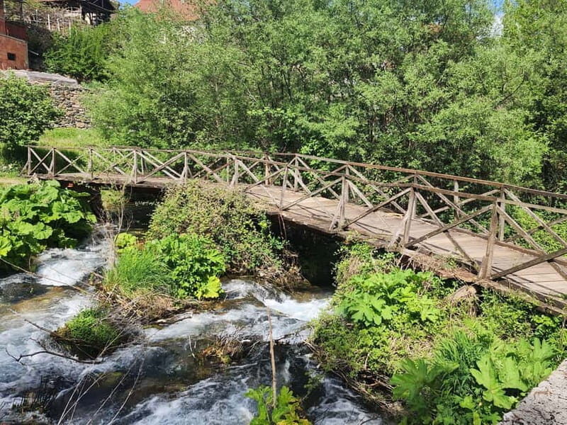 Ohrid & Traditional Village: Private Tour from Tirana/Durres - Who Should Consider This Tour?