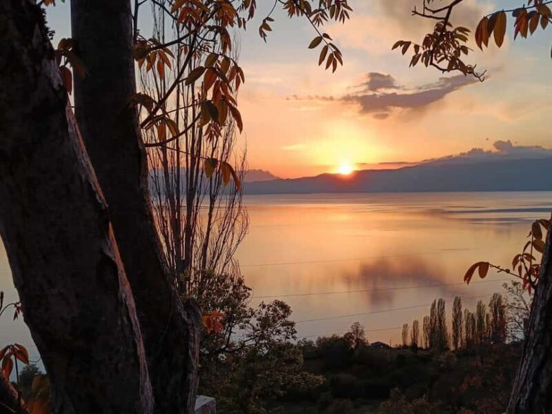 Ohrid: Vik's winetasting - Ohrid: Viks Winetasting — An Authentic Flavour of North Macedonia