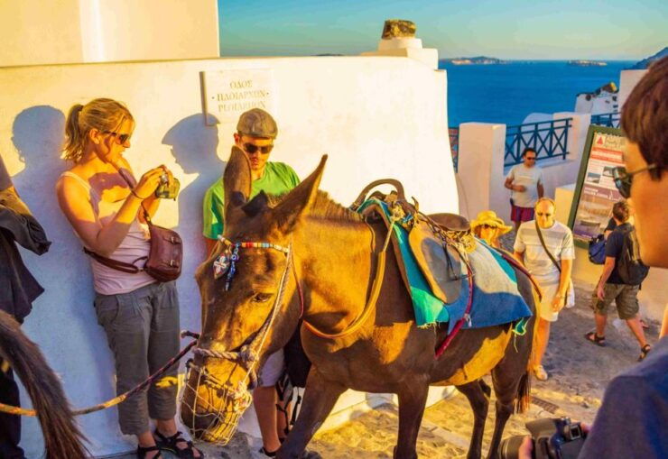 Oia Sunset Daily Tour - Good To Know