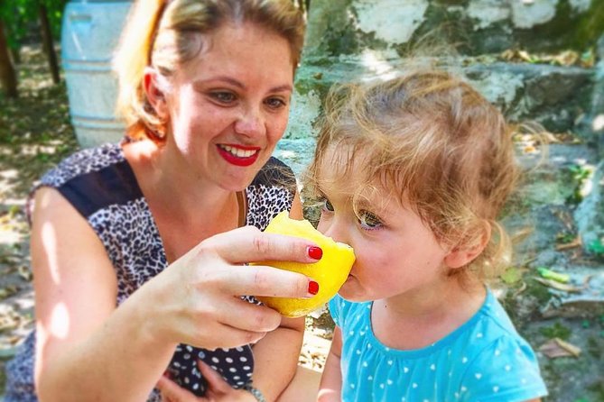 Oil, Cheese And Lemon Tour - Lemon Farm Tour