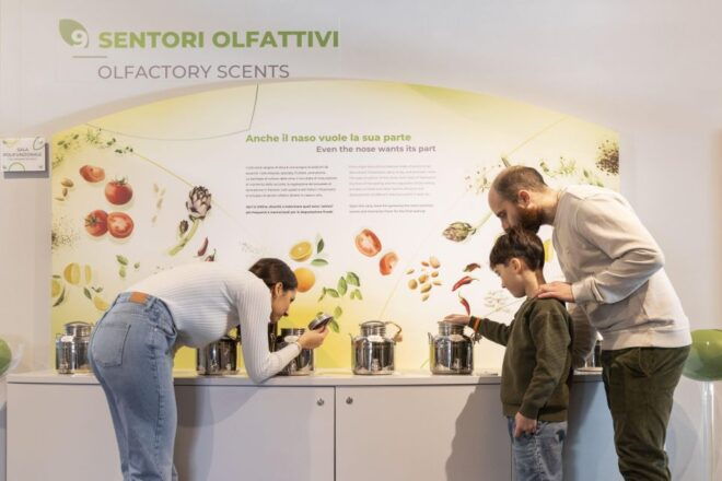 Oil Museum and Mill in Tuscany: Interactive Tour and Tasting - Taste Olive Oils and Gastronomic Delights
