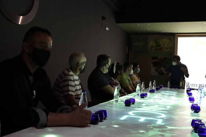 Oil Tourism at Finca La Pontezuela - Schedule and Accessibility