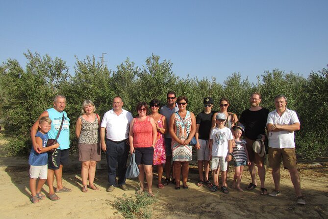 Oil Tourism in Pulpí Discover the World of EVOO - Reviews