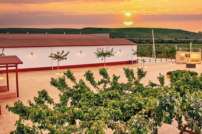 Oil Tourism With the 5 Senses - Immerse Yourself in the Aromas