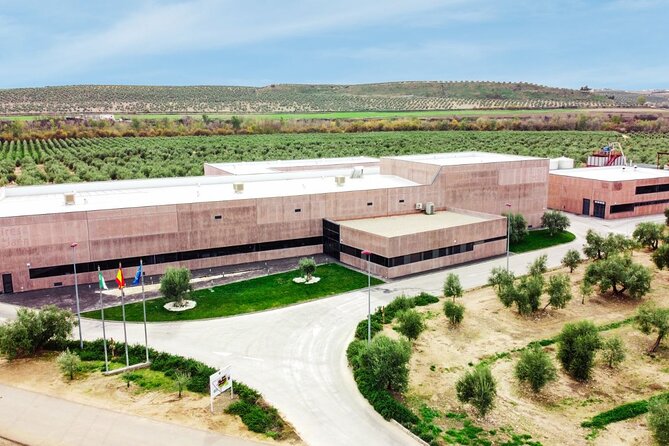 Oil Tourism With the 5 Senses - Experience the Touch of Olive Oil