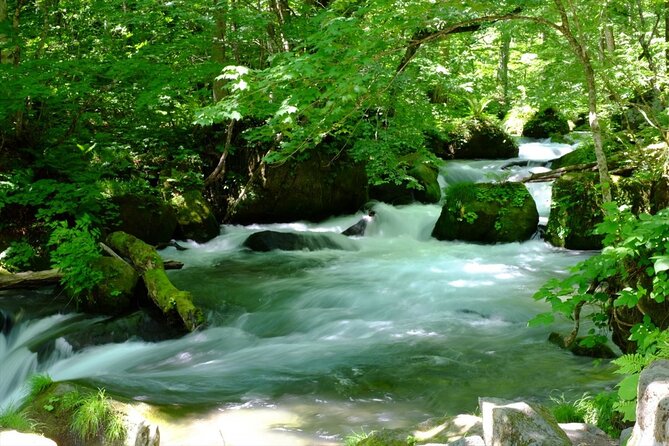 Oirase Gorge and Lake Towada Day Hike With Government-Licensed Guide - Common Questions