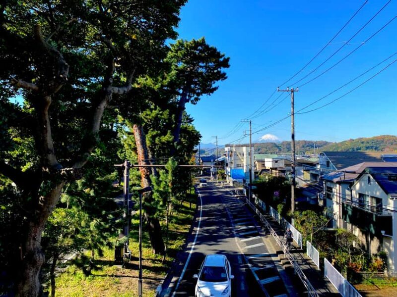 Oiso: Adventure Hike to See Mt. Fuji & Historic Coastal Walk - FAQ