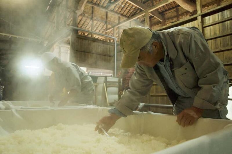 Oita : Komatsu Shuzojo Sake Brewery Tour and Tasting - Price and Value