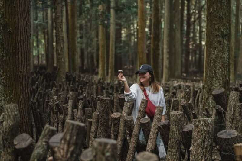 Oita: Shiitake Mushroom Farm Tour & Tasting - Exploring the Oita Shiitake Mushroom Farm Tour & Tasting