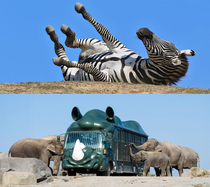 Oita: Yufuin & Kyushu Natural Animal Park & Umi Jigoku & Dazaifu & Beppu Ropeway Day Trip (From Fukuoka) - Is the price good value?