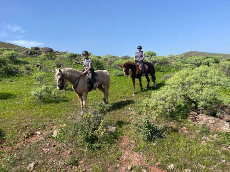 Ojos De Garza: 2-Hour Las Palmas Mountains Horse Riding Tour - Good To Know