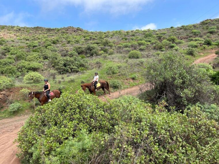 Ojos De Garza: 2-Hour Las Palmas Mountains Horse Riding Tour - Safety and Suitability