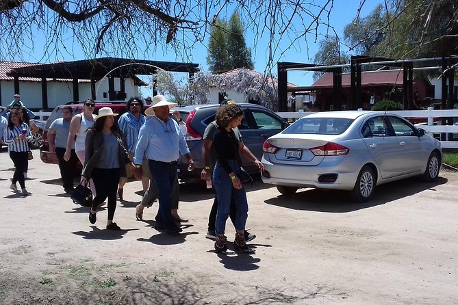 Ojos Negros Valley Wine and Cheese Route Tour in Baja California - Reviews