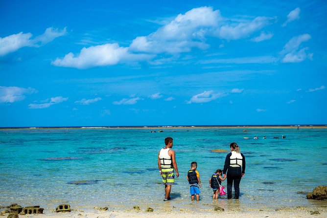OK From 2 Years Old! / Sea Picnic & Snorkel - What to Expect