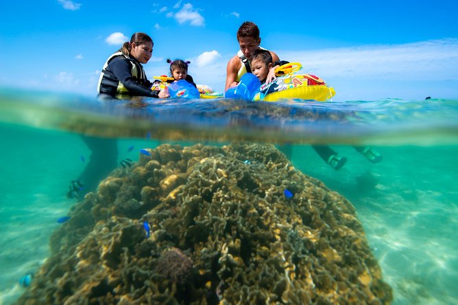 OK From 2 Years Old! / Sea Picnic & Snorkel - Additional Information
