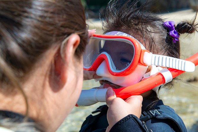 OK From 2 Years Old! / Sea Picnic & Snorkel - Reviews