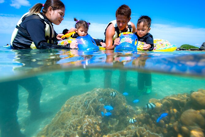 OK From 2 Years Old! / Sea Picnic & Snorkel - Directions