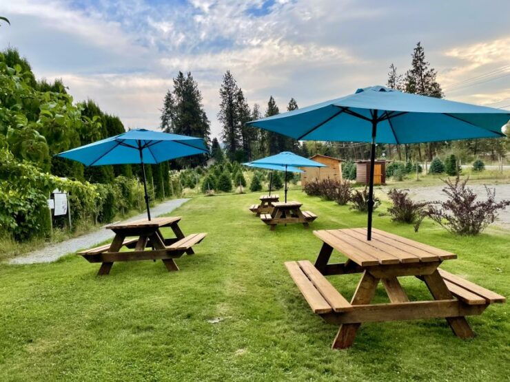 Okanagan Bee Tour, Wine Tasting and Lunch at Kelowna Winery - Experience Highlights