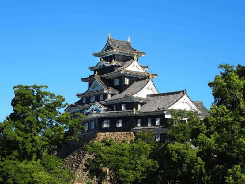 Okayama Castle Admission Ticket - The Sum Up