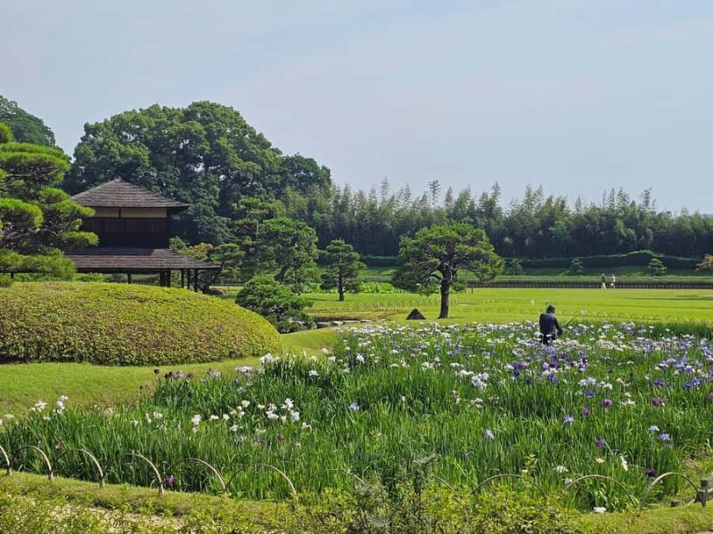 Okayama: Castle & Korakuen Garden Heritage Walk - Final Thoughts  