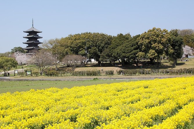 Okayama Custom Half Day Tour - Pickup and Transportation Options