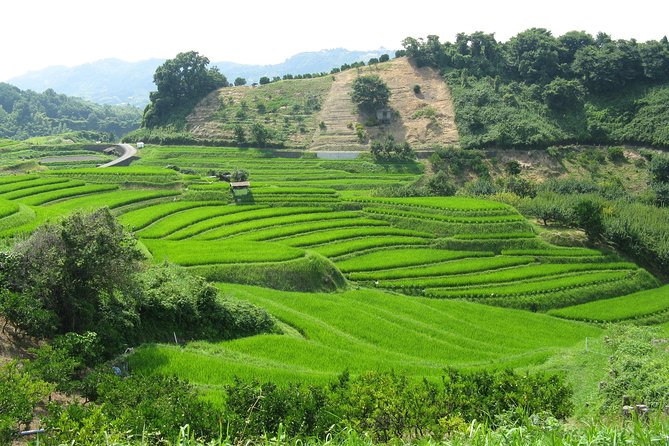Okayama Half-Day Private Trip With Government-Licensed Guide - Viator Help Center