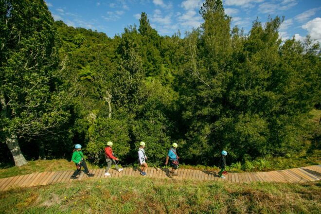 Okere Falls: Zipline Over Waterfalls Experience - Contribution to Forest Restoration
