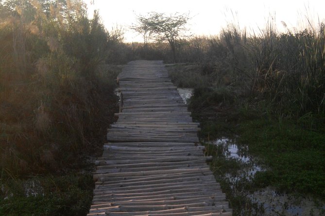 Okhla Bird Sanctuary Tour in Delhi - Tour Details