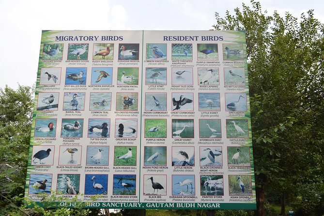 Okhla Bird Sanctuary Tour in Delhi - Private Tour Experience