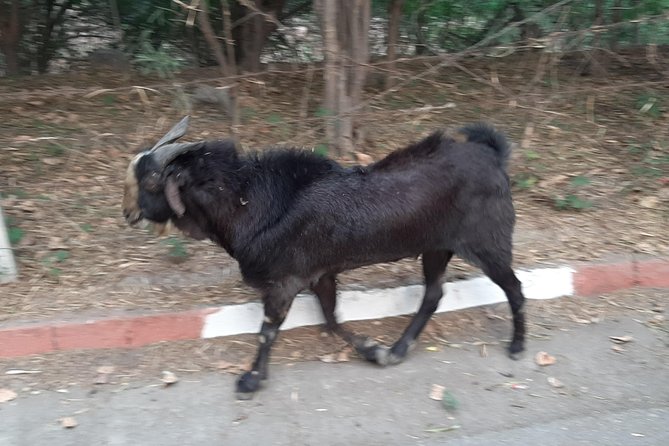 Okhla Bird Sanctuary Tour in Delhi - Cancellation Policy