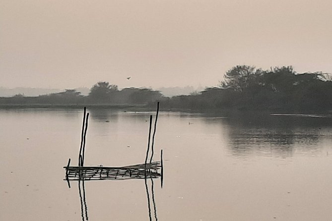 Okhla Bird Sanctuary Tour in Delhi - Pricing and Booking