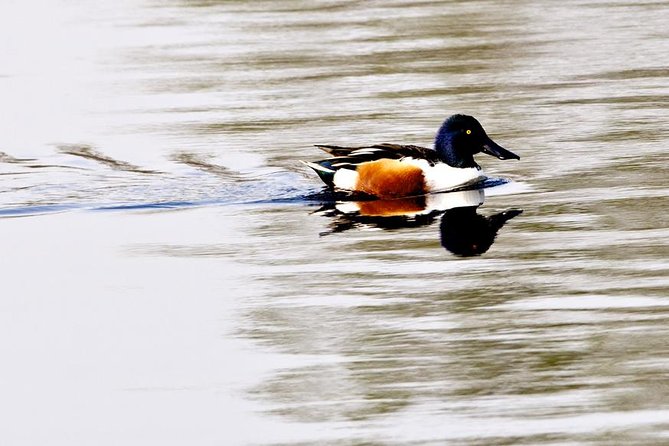 Okhla Bird Sanctuary Tour in Delhi - Customer Reviews