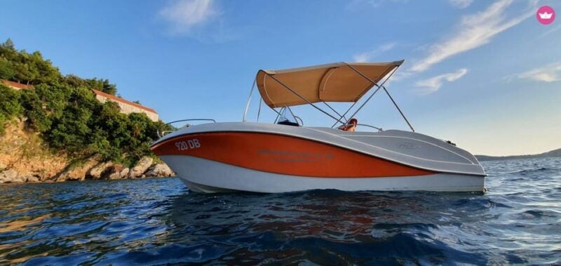 Oki Barracuda 545 356kk - Good To Know