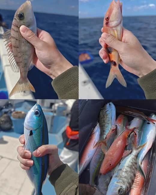 Okinawa: 1/2-Day Private Sea Fishing Charter, Naha w/Pickup - Return and Post-Trip Options