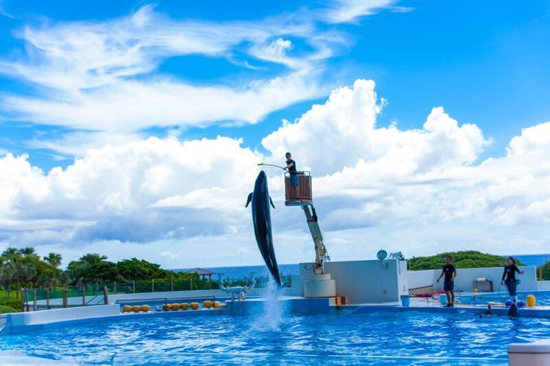 Okinawa: Aquarium, Kouri Island, & American Village Bus Tour - Authentic Insights from Travelers